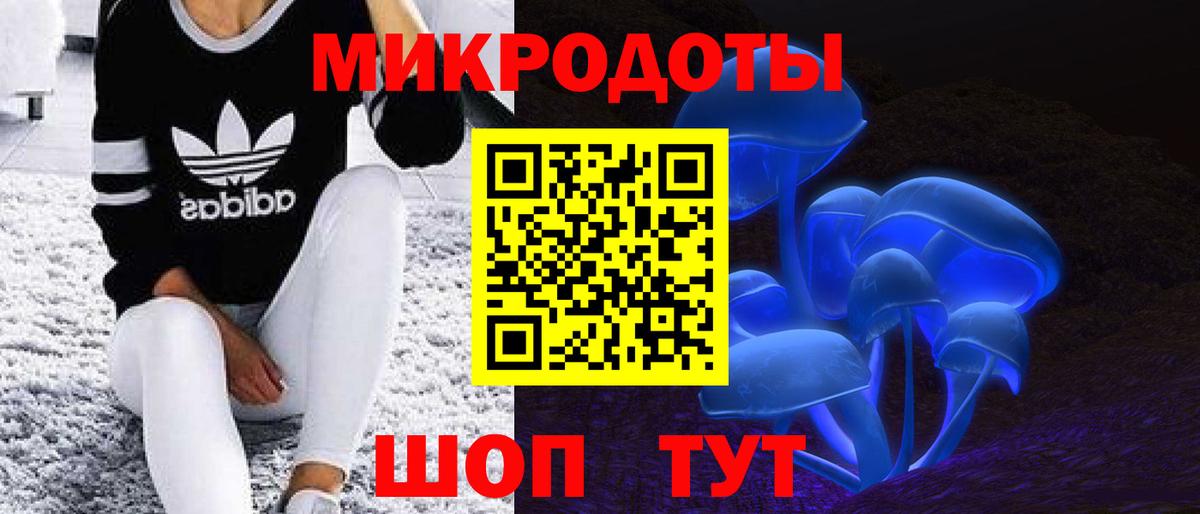 Псилоцибиновые грибы Psilocybine cubensis  Вход с VPN  Шадринск 
